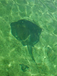 Back to the Marina Via Snake Cay snakecay 40 Back to the Marina Via Snake Cay