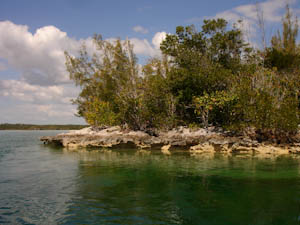 Back to the Marina Via Snake Cay snakecay 43 Back to the Marina Via Snake Cay