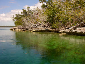 Back to the Marina Via Snake Cay snakecay 56 Back to the Marina Via Snake Cay