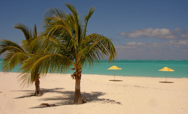 beachwaterumbrellas-4.jpg