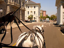 charleston-34.jpg