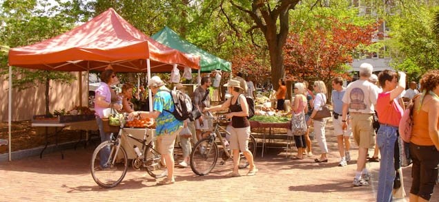 farmersmarket-18.jpg