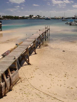 guanacay-15.jpg