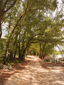 lastwalkofhopetow.jpg