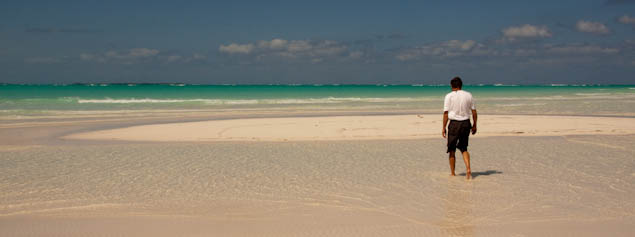 pickingshells-13.jpg