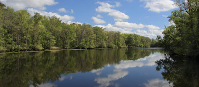 princecreek-32.jpg