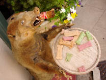 stuffedanimal-4.jpg