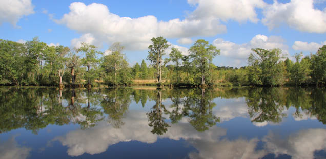 tocalabashcreek-125.jpg