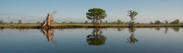 tocalabashcreek-25.jpg