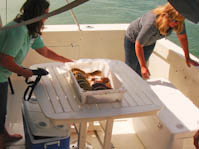 waitingforthefishman 8 The Fish Man Comes to Hope Town on Fridays