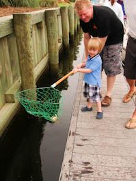 catchingcrabs-24.jpg