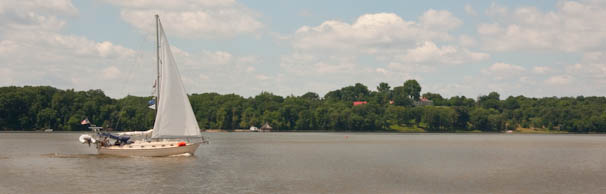 cruisingtowashdc-1.jpg