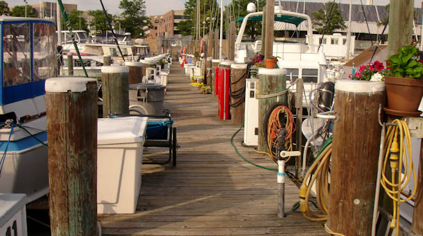 marinadock-15.jpg