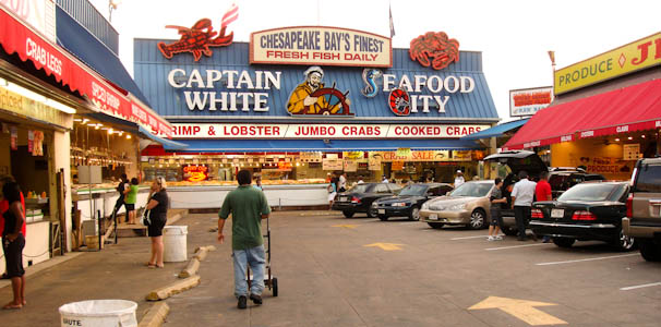 seafoodcity-1.jpg