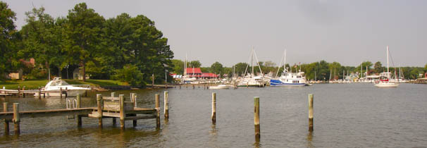 marinaarea-42.jpg
