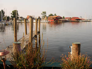 marinaarea-83.jpg