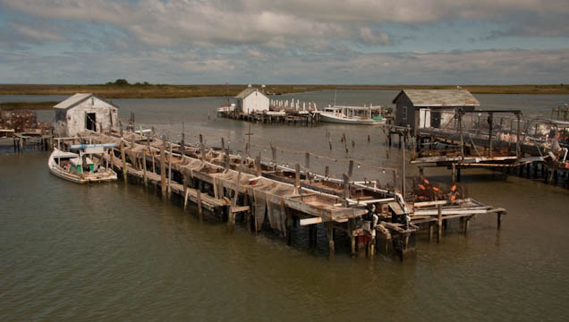 arrivingtangierisland-136.jpg
