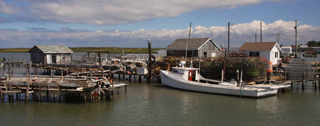 arrivingtangierisland-95.jpg