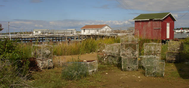 exploringtangieris-140.jpg
