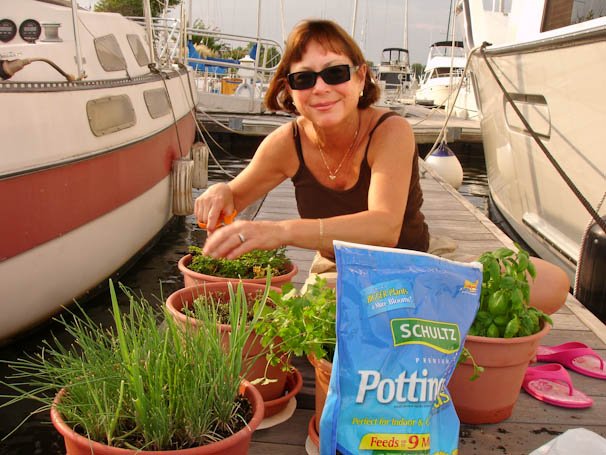 lisagardening 4 edit Herb Tending