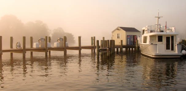 syc-fog-3.jpg
