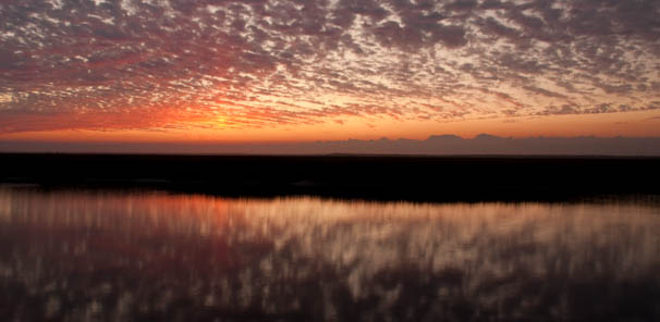 cumberlandisland-60.jpg