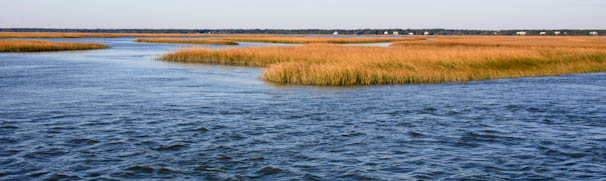 deweesanchormorning 19 Dropping Anchor   South Carolina Salt Marshes   DeWeese Creek