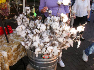 farmersmarket 2 Lets Do the Charleston!