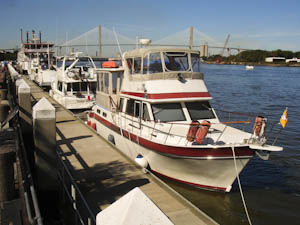 freedockdowntown-206.jpg