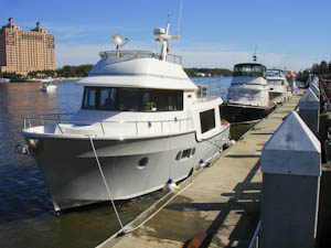 freedockdowntown-219.jpg