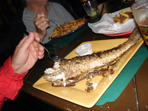 misc-pics-11-09-165.jpg