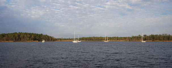 pongoriveranchor-1.jpg
