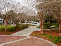 stmarys-19.jpg