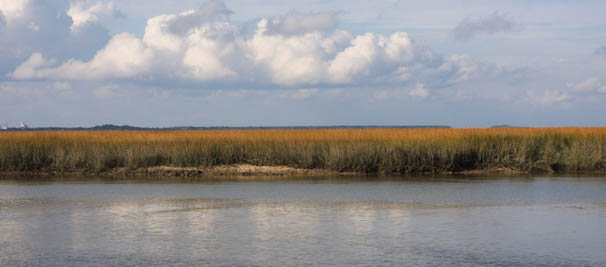 tocumberlandisland-4.jpg