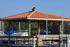 tojacksonville-18.jpg