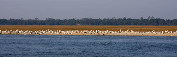 tojacksonville-3.jpg