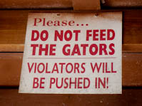 crabshack-15.jpg