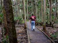hontoonlandingstatepark-10.jpg