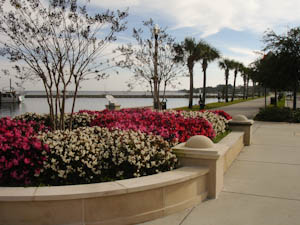 sanford-76.jpg