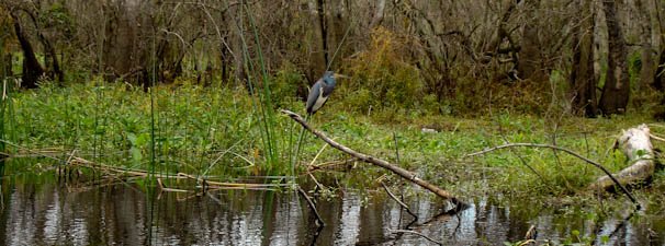 wekivariver-145.jpg