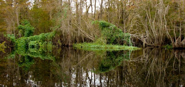 wekivariver-73.jpg