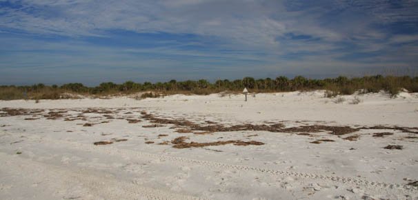 caladesiisland-103.jpg
