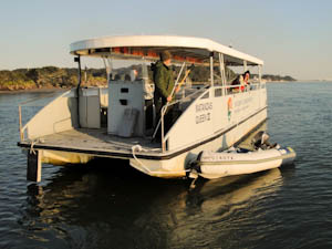dingyrescue-6.jpg