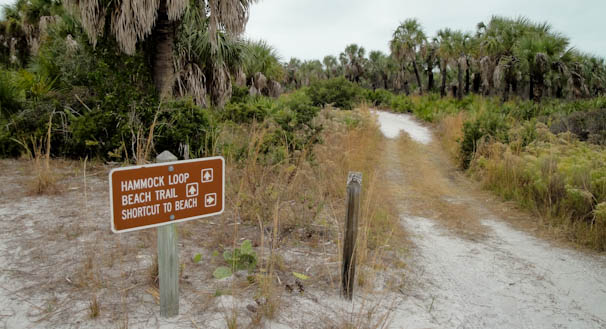 naturetrail-15.jpg