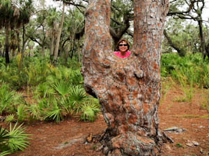 naturetrail-57.jpg