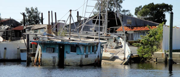 tarponsprings-44.jpg