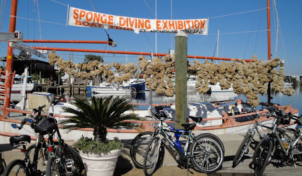 tarponsprings-72.jpg