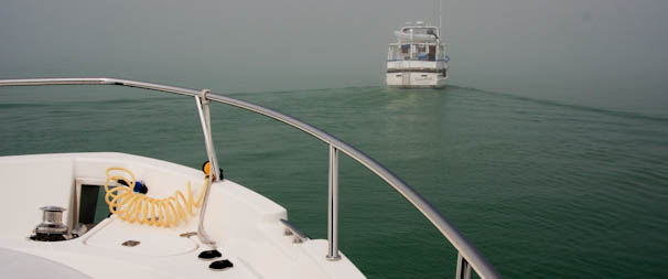 totarponsprings-17.jpg