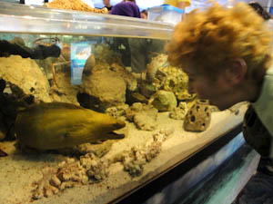 aquariumdiane-2.jpg
