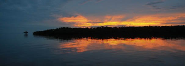 indiankey-2.jpg